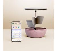 maju bol sans BPA avec 3 Compartiments + 1 bilan nutritionnel | Perte de Poids et rééquilibrage Alimentaire | Hermétique, Résistant au congélateur et Lave-Vaisselle | Made in France (Rose)