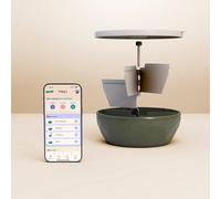 maju bol sans BPA avec 3 Compartiments + 1 bilan nutritionnel | Perte de Poids et rééquilibrage Alimentaire | Hermétique, Résistant au congélateur et Lave-Vaisselle | Made in France (Kaki)