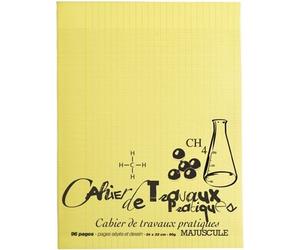 Majuscule-cahier De Travaux Pratiques Piqures Polypropylene 24x32 (seyes+dess.