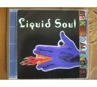 Liquid Soul - Make Some Noise