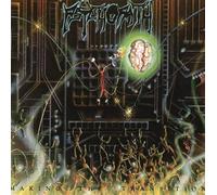 Making The Transition [Import]