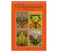 Makromonster - Schönheit im Detail (Tischkalender 2026 DIN A5 hoch), CALVENDO Monatskalender: Makroaufnahmen enthüllen die faszinierende Struktur und ... Weichtier- und Gliederfüßlerwelt.