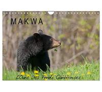 MAKWA L'Ours Des Forêts Québécoises (Calendrier mural 2023 DIN A4 horizontal): L'ours noir au fil des quatre saisons (Calendrier mensuel, 14 Pages )