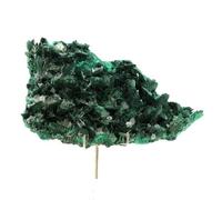 MALACHITE + BARYTE en provenance du MEXIQUE, Milpillas Mine, Cuitaca, Mun. de Santa Cruz - Pierre Naturelle de Collection, Cristal Vert, Roche Minérale Rare 894.4 ct - Certificat d'Authenticité Inclus