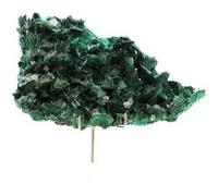 MALACHITE + BARYTE en provenance du MEXIQUE, Milpillas Mine, Cuitaca, Mun. de Santa Cruz - Pierre Naturelle de Collection, Cristal Vert, Roche Minérale Rare 894.4 ct - Certificat d'Authenticité Inclus