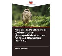 Maladie de l'anthracnose (Colletotrichum gloeosporioides) sur les mangues (Mangifera indica L.)
