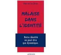 Malaise dans l'identité Hervé Le Bras (Auteur), Cyril Dion (Editeur du volume), Jack Lang (Préface)
