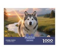 Malamute d' AlaskaAssemblage 1000 Pièces Raffiné - Stimule L’espritanimal de Compagnie Chien, Accessible Dès 14 Ans, Coloris Élégance Française70x50cm/1000pcs