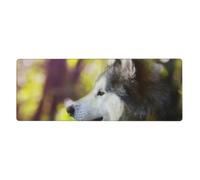 Malamute d'Alaska Bokeh Animaux de Compagnie Chiens Mignon,Grand Tapis de Souris pour Bureau, Clavier d'ordinateur, avec Base en Caoutchouc antidérapante, 30 x 80 cm