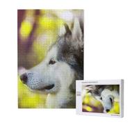 Malamute d'Alaska Bokeh Animaux de Compagnie Chiens Mignon,Puzzle Familial en Bois de 1 000 pièces pour Adultes et Adolescents