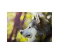 Malamute d'Alaska Bokeh Animaux de Compagnie Chiens Mignon,Puzzle Familial en Bois de 1 000 pièces pour Adultes et Adolescents, décoration d'intérieur