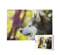 Malamute d'Alaska Bokeh Animaux de Compagnie Chiens Mignon,Puzzle Familial en Bois de 300 pièces pour Adultes et Adolescents, décoration d'intérieur
