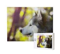 Malamute d'Alaska Bokeh Animaux de Compagnie Chiens Mignon,Puzzle Familial en Bois de 500 pièces pour Adultes et Adolescents, décoration d'intérieur