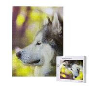Malamute d'Alaska Bokeh Animaux de Compagnie Chiens Mignon,Puzzle Familial en Bois de 500 pièces pour Adultes et Adolescents