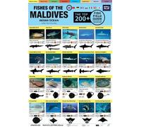 Maldives Fish Field Guide "Top 200+"