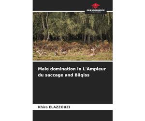 Male domination in L'Ampleur du saccage and Bilqiss