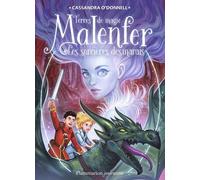 Malenfer - Tome 4 - Les Sorcières Des Marais