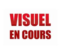 CRAYOLA - Pokémon boîte art case - Loisirs créatifs - Coloriage, feutre, Dès 3 ans - Kits de dessin pour enfants