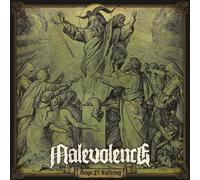 Reign of Suffering – Vinyle 33 tours (vert clair) – Réédition 2023