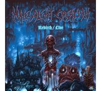 Blue Line – Rebirth Live