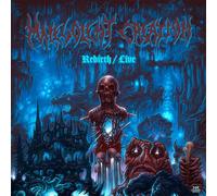 Blue Line – Rebirth Live
