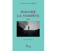 Malgré la tempête Roman - Amadou Oumar Mballo - L'harmattan - broché - Roman