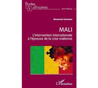 Mali: L'intervention internationale à l'épreuve de la crise malienne