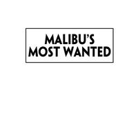Malibu's Most Wanted: Scripts