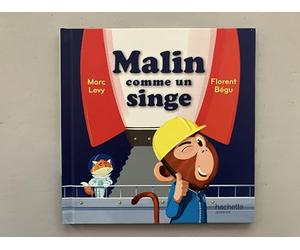 Malin comme un singe...