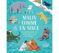 Malin comme un singe Collectif (Auteur)