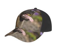 Malinois Belge Animaux de Compagnie Chiens Malinois Belge,Casquette de Baseball Ajustable, Style Classique, Casquette de Camionneur