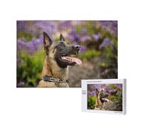 Malinois Belge Animaux de Compagnie Chiens Malinois Belge,Puzzle Familial en Bois de 1 000 pièces pour Adultes et Adolescents, décoration d'intérieur