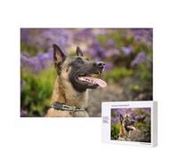 Malinois Belge Animaux de Compagnie Chiens Malinois Belge,Puzzle Familial en Bois de 300 pièces pour Adultes et Adolescents, décoration d'intérieur