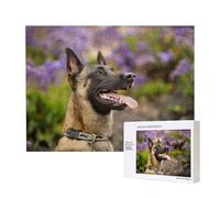 Malinois Belge Animaux de Compagnie Chiens Malinois Belge,Puzzle Familial en Bois de 500 pièces pour Adultes et Adolescents, décoration d'intérieur