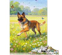 Malinois Belge Puzzle (1000 Pièces) Puzzle en Papier pour Adultes et Familles (38x26cm)