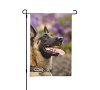 Malinois belges Animaux de compagnie Chiens Malinois belges,Drapeau de jardin décoratif double face pour intérieur et extérieur, 30 x 45 cm