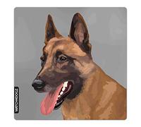 Malinois, berger belge panneau, plaque attention au chien, je monte la garde, 22 x 22 cm