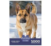 Malinois Puzzle 1000 Pièces Jeux Éducatif Défi Jouets Cadeaux Chien de Compagnie Puzzle De Qualité Supérieure Adultes Et Enfants Dès 14 Ans38x26cm/1000pcs