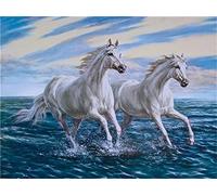 MALKOY broderie point de croix kit complet Kit de broderie point de croix animal cheval 11CT canevas point de croix,debutant broderie point de croix imprimé,40×50cm