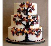 Mallard Ferriere-CERCLE VACHERIN INOX de 28