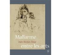 Mallarmé entre les arts Jean-Nicolas Illouz (Auteur)