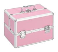 Mallette à Maquillage 22x30x21 cm Argenté Valise Cosmétique Beauté vidaXL