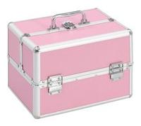 Mallette à Maquillage 22x30x21 cm Argenté Valise Cosmétique Beauté vidaXL
