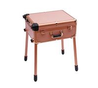 Mallette cosmétique professionnelle à 3 niveaux avec 8 lampes LED et 4 roulettes universelles - Capacité de charge de 50 kg - Pour femme - Pour maquilleurs, salons de beauté
