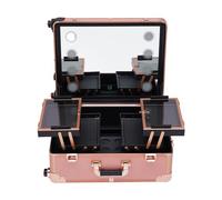 Mallette de maquillage professionnelle 67,5 x 51 x 29 cm avec 4 roulettes, éclairage et miroir, pour maquilleurs professionnels, coiffeurs, techniciens des ongles, esthéticiennes dans les centres de