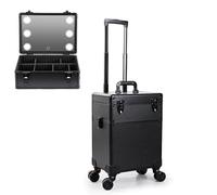 Mallette de Maquillage Professionnelle à roulettes avec Miroir éclairé par LED, 3 en 1, Grand Chariot de Rangement pour cosmétiques, roulettes pivotantes, Mallette de Salon de Coiffure, Chariot de v