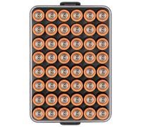 Mallette de rangement pour organisateur de piles, petit coffre-fort à piles, conteneur pour 48 piles AA, support de batterie de protection en plastique transparent pour voyage/maison/bureau (noir, L)
