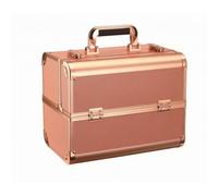 Mallette Maquillage Professionnelle Boîte Trousse Coffret Structure Renforcée en Alliage avec Métalliques Plateaux Superposés Intérieur Amortissant, style to 5
