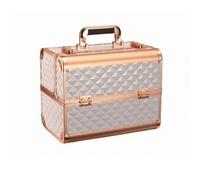 Mallette Maquillage Professionnelle Trousse Valise Coffret Rangement avec Plateaux de 135mm 185mm 30mm Structure Rigide en Alliage d'Aluminium Verrou, style to 6