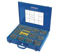 Mallette professionnelle experte de vis à bois à double tête fraisée PZ SilverScrew 2 800 pièces